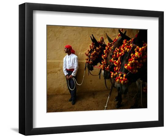 Premium Photographic Print, , large