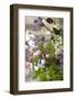An assortment of flowers-Luuk Geertsen-Framed Photo