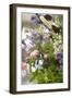 An assortment of flowers-Luuk Geertsen-Framed Photo