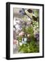 An assortment of flowers-Luuk Geertsen-Framed Photo