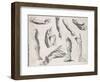 An Assortment of Hands and Feet, Some of the Feet in Sandals-null-Framed Art Print