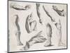 An Assortment of Hands and Feet, Some of the Feet in Sandals-null-Mounted Art Print