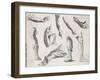 An Assortment of Hands and Feet, Some of the Feet in Sandals-null-Framed Art Print