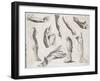 An Assortment of Hands and Feet, Some of the Feet in Sandals-null-Framed Art Print