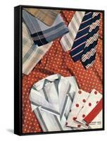 An Assortment of Men's Ties, Hankies and Shirts-null-Framed Stretched Canvas