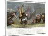 An Assortment of Sea Anemones-P. Lackerbauer-Mounted Art Print