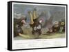 An Assortment of Sea Anemones-P. Lackerbauer-Framed Stretched Canvas