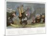 An Assortment of Sea Anemones-P. Lackerbauer-Mounted Art Print