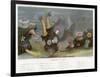 An Assortment of Sea Anemones-P. Lackerbauer-Framed Art Print