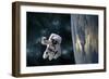 An Astronaut Floating Above Earth-Stocktrek Images-Framed Photographic Print