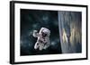 An Astronaut Floating Above Earth-Stocktrek Images-Framed Photographic Print