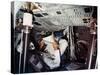 An Astronaut Inside a NASA Command Module, 1970S-null-Stretched Canvas