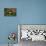 An Atlantic Puffin peers out from its burrow on Skomer Island, Wales, United Kingdom, Europe-David Rocaberti-Stretched Canvas displayed on a wall