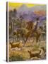 An Australian Bushman Rounds Up His Cattle with the Assistance of His Dogs-null-Stretched Canvas