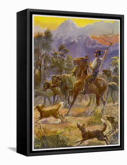 An Australian Bushman Rounds Up His Cattle with the Assistance of His Dogs-null-Framed Stretched Canvas