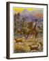 An Australian Bushman Rounds Up His Cattle with the Assistance of His Dogs-null-Framed Art Print