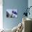 An Australian Flag Flutters in Breeze in Front of Iconic Sydney Harbour Bridge, Sydney-Andrew Watson-Photographic Print displayed on a wall