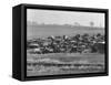 An auto dump near Easton, Pennsylvania, 1935-Walker Evans-Framed Stretched Canvas