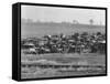 An auto dump near Easton, Pennsylvania, 1935-Walker Evans-Framed Stretched Canvas