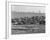 An auto dump near Easton, Pennsylvania, 1935-Walker Evans-Framed Photographic Print