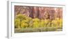 An Autumn Afternoon, Zion National Park, Utah-Colin D. Young-Framed Photographic Print