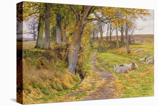 An Autumn Afternoon-Charles James Adams-Stretched Canvas