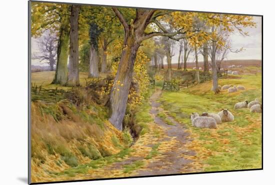 An Autumn Afternoon-Charles James Adams-Mounted Giclee Print