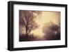 an autumn day forever-Joseph Mazzucco-Framed Photographic Print