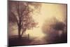 an autumn day forever-Joseph Mazzucco-Mounted Photographic Print