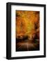 An Autumn/Fall Drive-Nicholas Hall-Framed Photographic Print