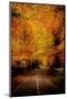 An Autumn/Fall Drive-Nicholas Hall-Mounted Photographic Print