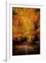 An Autumn/Fall Drive-Nicholas Hall-Framed Photographic Print