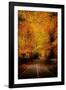 An Autumn/Fall Drive-Nicholas Hall-Framed Photographic Print