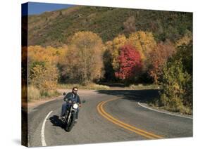 An Autumn Motorcycle Ride-null-Stretched Canvas