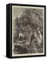 An Autumn Ramble-Ebenezer Newman Downard-Framed Stretched Canvas