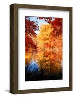 An Autumn Reflection-Philippe Sainte-Laudy-Framed Photographic Print