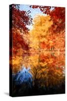 An Autumn Reflection-Philippe Sainte-Laudy-Stretched Canvas