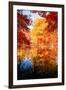 An Autumn Reflection-Philippe Sainte-Laudy-Framed Photographic Print