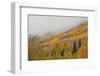 An Autumn Revelation-Bill Sherrell-Framed Photographic Print