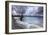 An Autumn Scene by a Lake in the Lake District at Cumbria, England-Alex Saberi-Framed Photographic Print