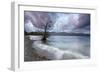 An Autumn Scene by a Lake in the Lake District at Cumbria, England-Alex Saberi-Framed Photographic Print