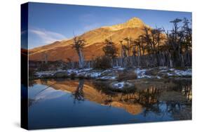 An autumn scene in Los Glaciares National Park, Patagonia, Argentina-Ed Rhodes-Stretched Canvas