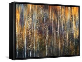 An Autumn Song-Ursula Abresch-Framed Stretched Canvas