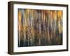 An Autumn Song-Ursula Abresch-Framed Premium Photographic Print