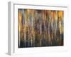 An Autumn Song-Ursula Abresch-Framed Premium Photographic Print