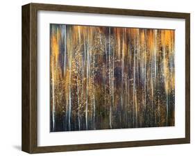 An Autumn Song-Ursula Abresch-Framed Photographic Print