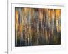 An Autumn Song-Ursula Abresch-Framed Photographic Print