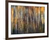 An Autumn Song-Ursula Abresch-Framed Photographic Print