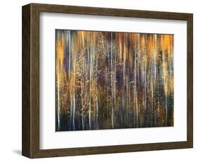 An Autumn Song-Ursula Abresch-Framed Photographic Print