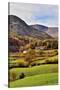 An autumn view of the scenic Langdale Valley, Lake District National Park, Cumbria, England, United-Peter Watson-Stretched Canvas